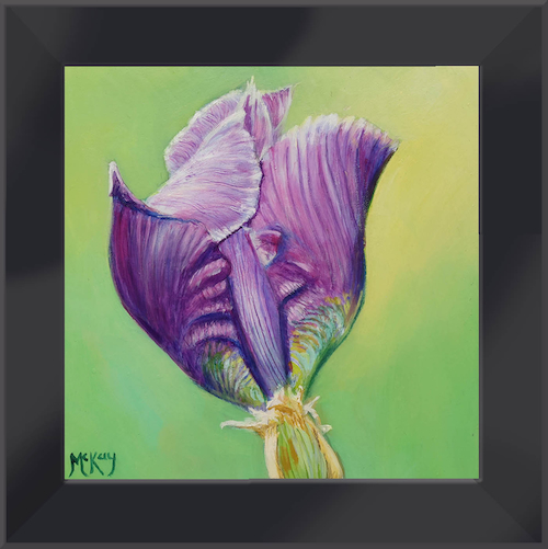 Iris Awakening 6x6 $240 at Hunter Wolff Gallery